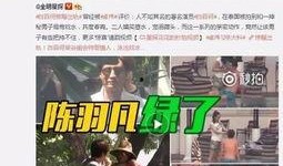 阿阳大哥爆料视频大全,揭秘幕后真相，带你领略真实世界