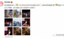 网红爆料王思聪3分钟视频,揭秘网红背后的奢华生活